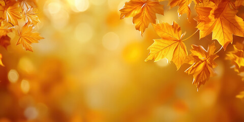 Fototapeta premium Beautiful Leaves In Autumn Sunny Day In Foreground And Blurry Background. Colorful Foliage In The Park. Falling Leaves Natural Background