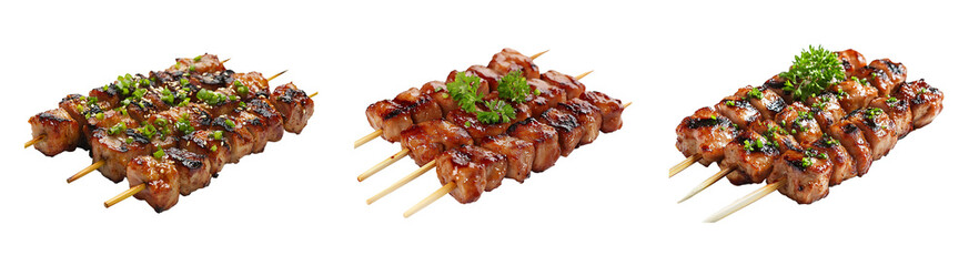 Set, collection of Grilled yakitori isolated on transparent background.