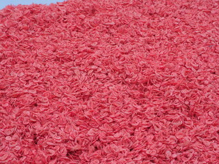 pink small dried salted prawn in tray