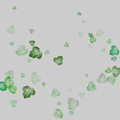 Autumn falling leaves isolated on white background.  Flying green leaves. 