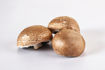 Raw brown champignon for cooking