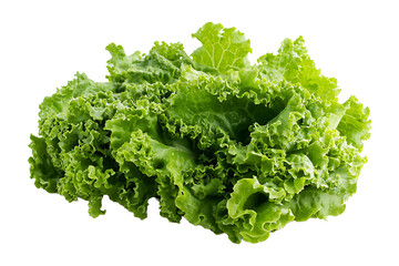 Green lettuce isolated on transparent background.