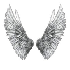 Obraz premium A pair of white angel wings isolated on a black background. transparent background