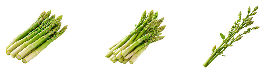Fototapeta premium Set, collection of Floating asparagus isolated on transparent background.