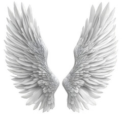 Obraz premium A pair of white angel wings, isolated on a black background. transparent background
