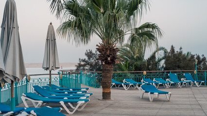 empty beach loungers under palm trees with no people