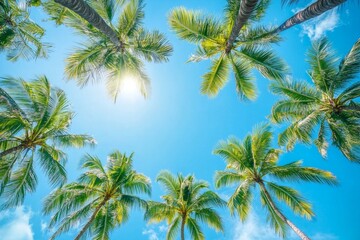 A beautiful view looking up at tall palm trees against a bright blue sky. The sunlight filters through the leaves. Perfect for tropical themes and relaxation. Generative AI