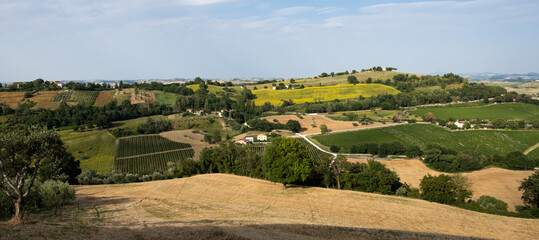 Paesaggio Collinare con Campi Coltivati