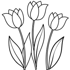 set of tulips outline coloring book page line art drawing