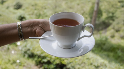 cup of tea in hand, Sri Lanka Ceylon tea in blue background 