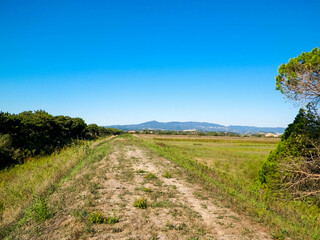 Tuscany, view of meadow and Apennines in the background.