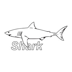 shark icon design