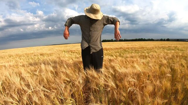 Male agronomist standing at ripe wheat meadow and looking like a scarecrow. Young farmer fooling around and funny scaring somebody at golden barley field. Concept of agricultural business. Crane shot