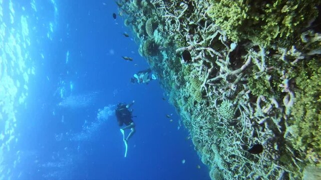 Maldives, scuba diving , lifestyle and underwater photo  