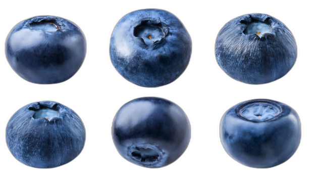  Mirtilli dall'alto- Sei set di mirtilli su uno sfondo bianco. Ogni set include un mirtillo _1(234)