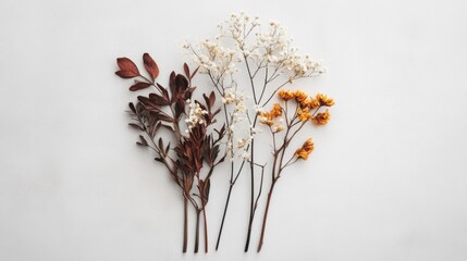 A minimalist autumn composition of natural dried flowers arranged on a clean, light background
