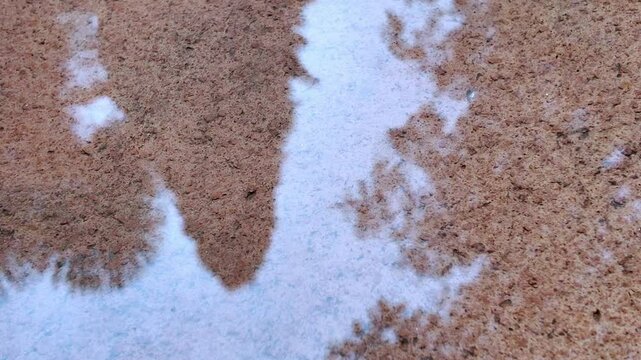 Lluvia cayendo sobre baldosas de barro con reflejo de &aacute;rboles