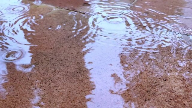 Lluvia cayendo sobre baldosas de barro con reflejo de &aacute;rboles