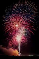 colorful red white and blue fireworks in the night sky.