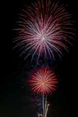 Fototapeta premium colorful red white and blue fireworks in the night sky.