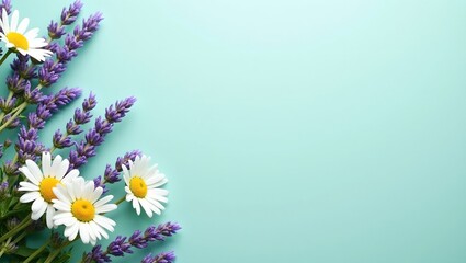 Tranquil daisy and lavender banner on teal backdrop