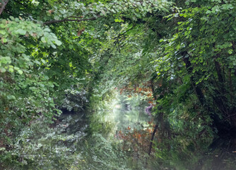 The floating gardens of Les Hortillonnages, Amiens, France which consist of small cultivated islands located in the marshy terrain of bed of the River Somme. Only accessible by boat or footbridge.
