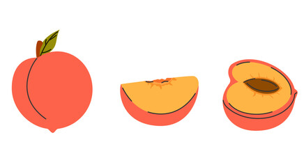 Vector set of whole, half, and sliced peaches. Hand drawn, isolated, perfect for food or summer designs