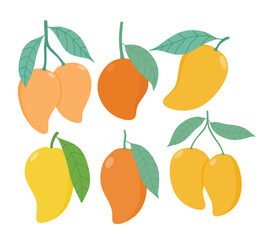 Mango fruit vector set cute cartoon style. isolated on white background.