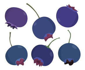 Blueberry fruit vector set cute cartoon style. isolated on white background.
