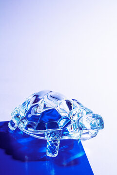 Blue and white gradient background with a crystal turtle