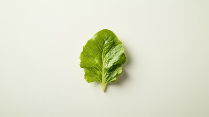 A single lettuce leaf, separated from the rest, against a plain white backdrop.
