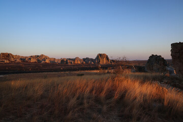 Altopiano nel sud del Madagascar; paesaggio al crepuscolo immerso in una luce dorata 
