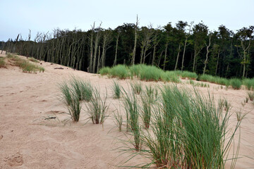 Słowiński Park Narodowy jest położony w środkowej części polskiego wybrzeża. Jest położony w środkowej części polskiego wybrzeża. Charakterystycznym elementem parku jest wydmowy pas mierzei z ruchomym © JDziedzic