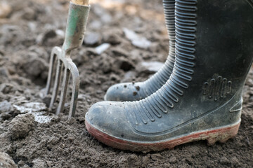 Working in the garden, loosening the soil.
