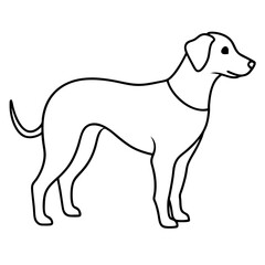 Dog line art silhouette with white background
