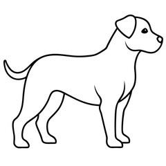 Dog line art silhouette with white background