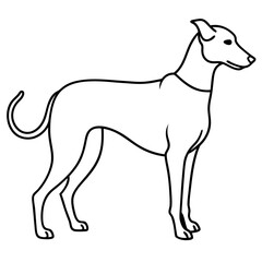 Obraz premium Dog line art silhouette with white background