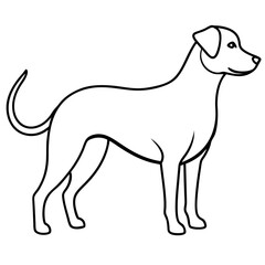 Dog line art silhouette with white background