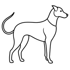 Dog line art silhouette with white background