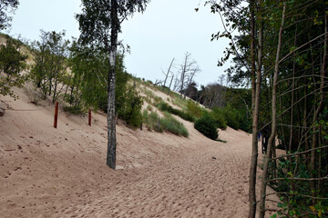 Słowiński Park Narodowy jest położony w środkowej części polskiego wybrzeża. Jest położony w środkowej części polskiego wybrzeża. Charakterystycznym elementem parku jest wydmowy pas mierzei z ruchomym © JDziedzic