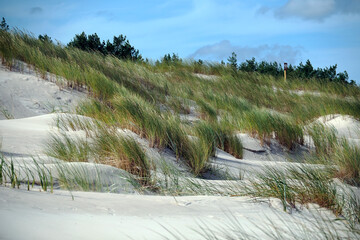 Słowiński Park Narodowy jest położony w środkowej części polskiego wybrzeża. Jest położony w środkowej części polskiego wybrzeża. Charakterystycznym elementem parku jest wydmowy pas mierzei z ruchomym © JDziedzic