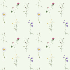 Watercolor floral seamless pattern in botanical rustic style, colored garden. Hand drawn print with meadow flowers: bluebell, buttercup, clover, chamomile. Repeat wallpaper with leaves and plants.
