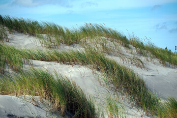 Słowiński Park Narodowy jest położony w środkowej części polskiego wybrzeża. Jest położony w środkowej części polskiego wybrzeża. Charakterystycznym elementem parku jest wydmowy pas mierzei z ruchomym © JDziedzic