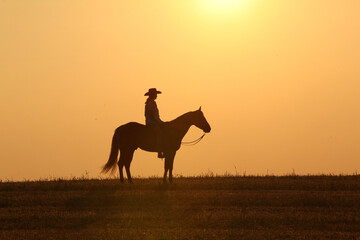 Amazing palomino quarter horse with long mane