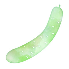 キュウリ　きゅうり　胡瓜　旬　6月の野菜　水彩画タッチ　デザインアイコン　優しい　エコロジー　シンボル　スタンプ