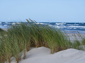Słowiński Park Narodowy jest położony w środkowej części polskiego wybrzeża. Jest położony w środkowej części polskiego wybrzeża. Charakterystycznym elementem parku jest wydmowy pas mierzei z ruchomym © JDziedzic