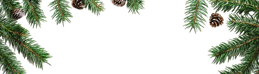 Different Views of a Fenestral Frame With Christmas Tree Branches. Isolated on a Transparent Background. Cutout PNG.