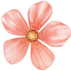 natural cliparts, animals, whale, succulents, cactus, bunnies, treasure box, star fish, star wand and outline elements.