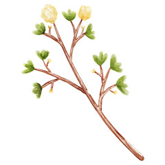 natural cliparts, animals, whale, succulents, cactus, bunnies, treasure box, star fish, star wand and outline elements.