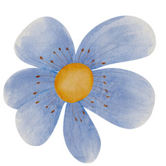 natural cliparts, animals, whale, succulents, cactus, bunnies, treasure box, star fish, star wand and outline elements.